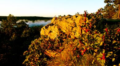 Hit the Trail - Intermediate-Level Trails