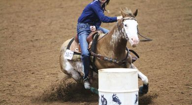 Pinto World Championship Horse Show