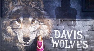 Davis Wolves Mural