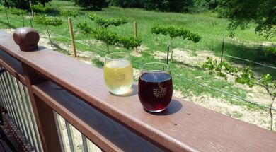 Fish Tales Winery & Vineyards