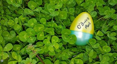 O'Brien Park & Recreation Center