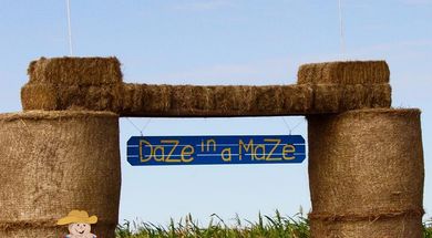 Daze in a Maze