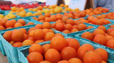 Uptown 23rd Farmers Market