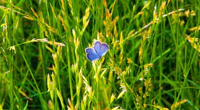 George M. Sutton Wilderness Park