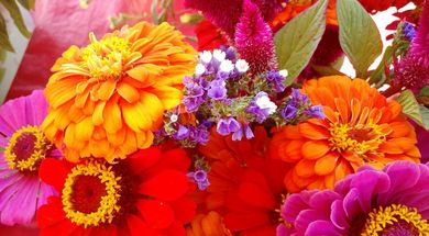 Owasso Farmer and Artisan Market