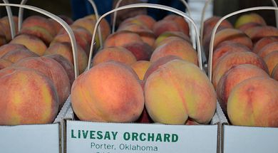 The Peach Barn Orchard & Bakery