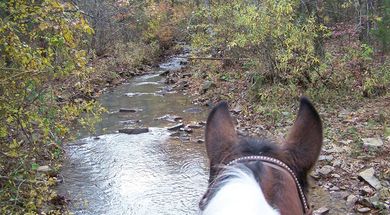 Cedar Lake Equestrian Camp