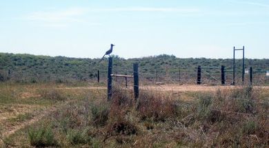 Hal & Fern Cooper Wildlife Management Area