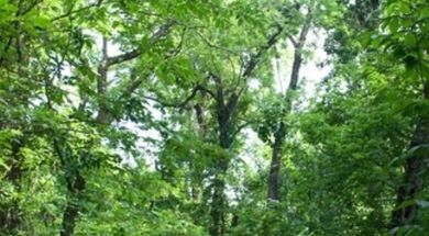 Rock Creek Multi-Use Trails