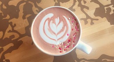 Iron Tree Coffee Company