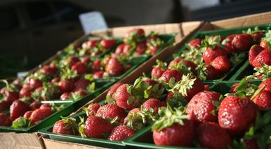 Ardmore Market Place on Broadway