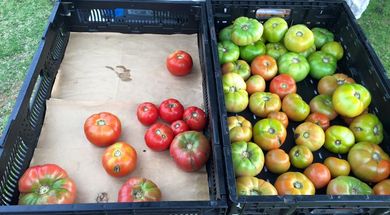 Blanchard Farmers Market