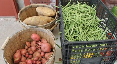 El Reno Farmers Market