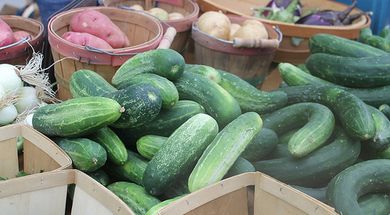 Guymon Farmers Market