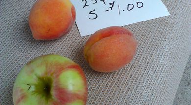 Latimer County Farmers Market