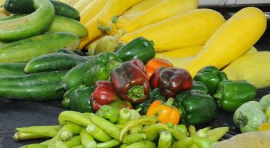 OSDH Wellness Farmers Market