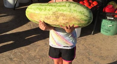 Ottawa County Farmers Market