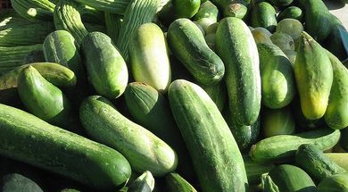 Ponca City Farmers Market