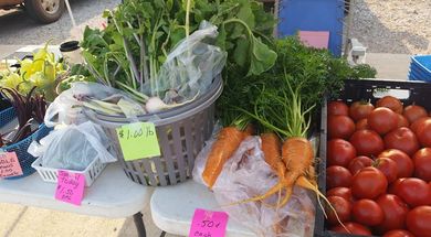 Seminole Farmers Market