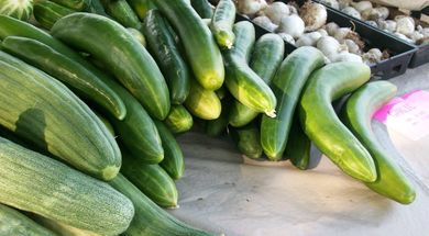 Wildhorse Gardens & Market