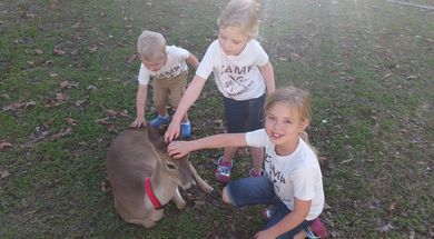 Hochatown Petting Zoo