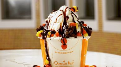 Orange Leaf Frozen Yogurt
