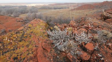 Black Kettle National Grassland
