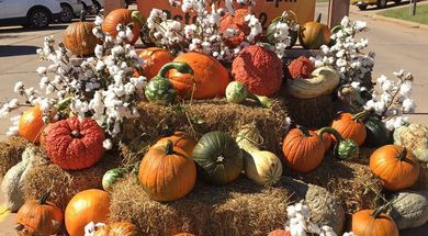 Hydro Harvest Festival