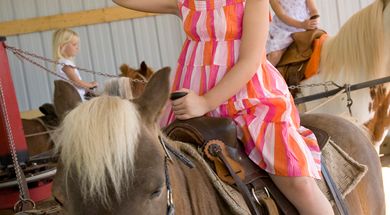 Fall Festival at the Orr Family Farm