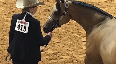 American Buckskin World Championship Show