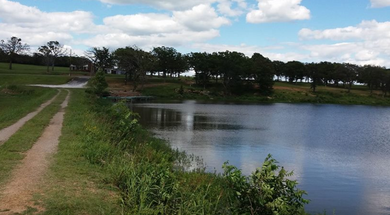 Jim Hall Lake - Nichols Park