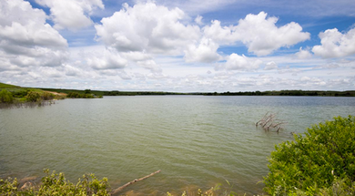 Lake Vincent