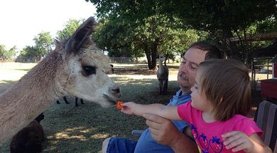 Magnolia Blossom Ranch