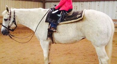 National Snaffle Bit Association World Show