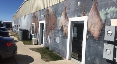 Space Bison Mural