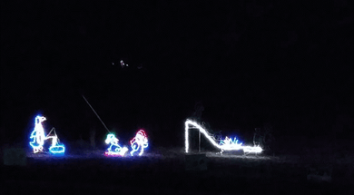 Wister Lake Lights on the Island
