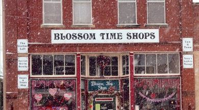 Blossom Time Shops