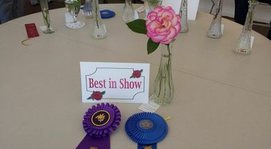 Broken Arrow Rose Festival