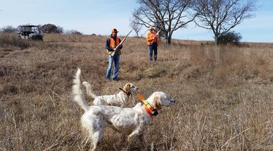 Jones Southern Oklahoma Quail & Pheasant Hunts