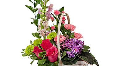 Neal & Jean's Flowers