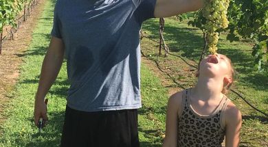 Redbud Farm and Vineyard