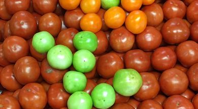 Carmichael's Produce