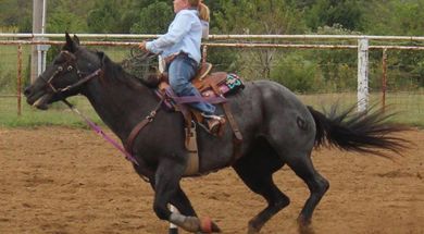 Nowata County Free Fair