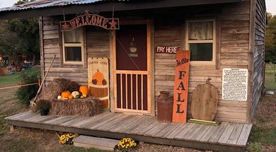 The Country Bumpkin Pumpkin Patch