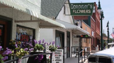 Dorothy's Flowers