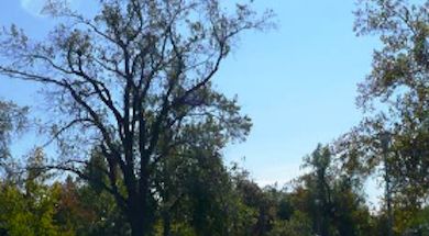 Spirit Trails Network