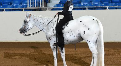 Pony of the Americas National Congress