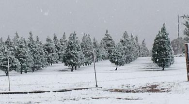 Fowble Christmas Tree Farm