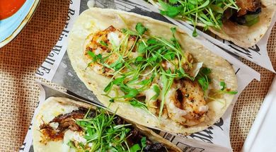 Dot Wo Modern Concepts