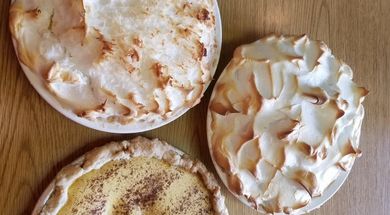 The Wolf at Tenkiller